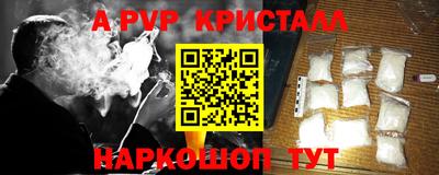 индика Тверь