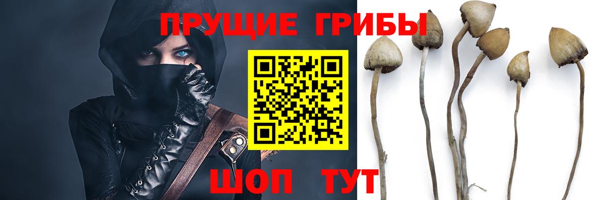 Кинель  Галлюциногенные грибы мицелий  Вход с VPN 